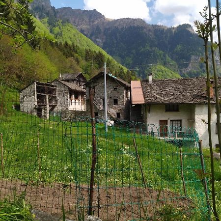 Il Fiume Di Fianco. Appartamento Alta Valsesia Mollia Exterior photo